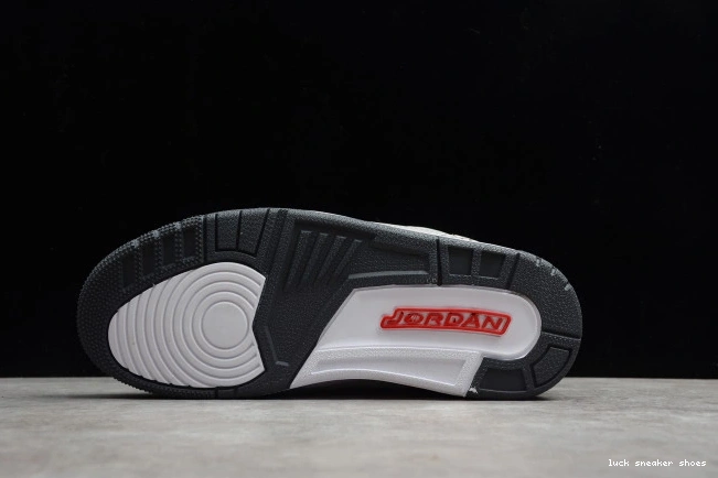 Rep LUCY Retro Grey 3 Cool CT8532-012 (2021) Air Jordan 0712